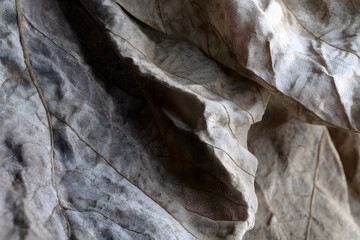 Eternal Whispers: The Beauy of Folds and Creases in ime's Tapestry