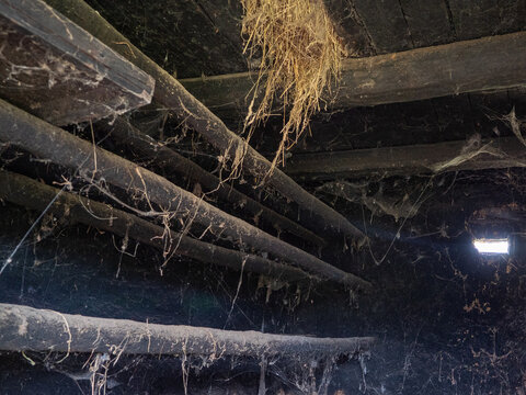 Old wooden interior of a traditional drying house with blackened beams, cobwebs, and remnants of dried grass used for drying fruit or herbs.