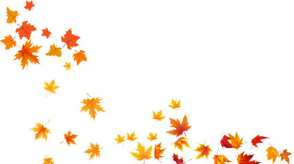 Falling Autumn Leaves Effect. Orange and yellow maple foliage. Ideal for seasonal backgrounds.