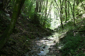 Enderttal in der Eifel