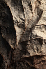 Eternal Whispers: The Beauy of Folds and Creases in ime's Tapestry