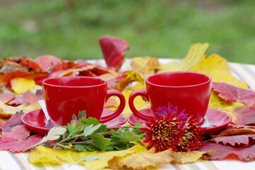 cup of tea with flowers