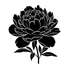 Black silhouette of a peony flower with leaves