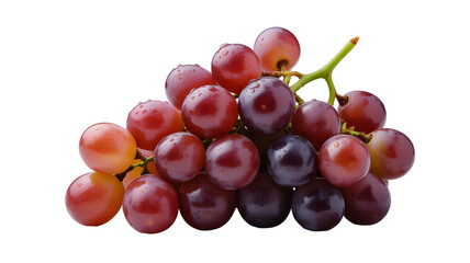 Transparent png of a vibrant cluster of red grapes with water droplets on a stem against a plain and simple background on transparent background