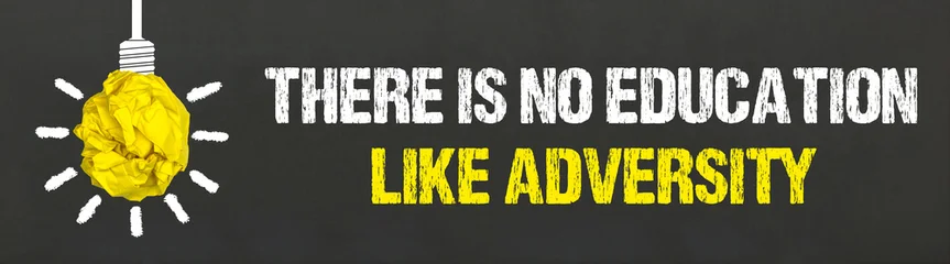 Ingelijste posters Quotes There is no education like adversity    © magele-picture