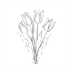 Line Art Bouquet of Tulips. Black and White Tulip Line Art Illustration. Simple Floral Outline of Tulip Blossom Vector Art