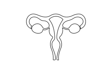 Modern one line uterus and ovary anatomy minimalist drawing