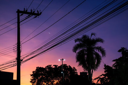 sunset sky, crescent moon with silhouette palm tree and city in Brazil