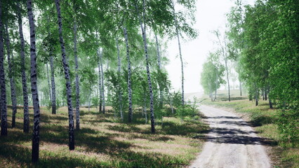 Gentle sunlight pours through a canopy of lush green birch trees, illuminating a serene dirt path that invites a peaceful stroll in a vibrant forest setting.