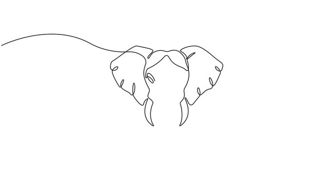 Continuous one line drawing elephant head, Single line minimal style art vector illustration 4k animation video.