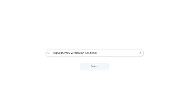 4K Search Bar UI Animation &ndash; Digital Identity Verification Solutions