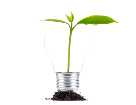 A lightbulb shape containing soil and a growing plant against a black background