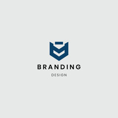 Brand logo letter v logotype vector