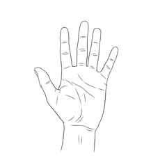 Open Human Hand Palm Silhouette — Gesture Symbol, Line Art Illustration, Anatomy Outline Design