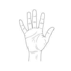 Obraz premium Open Human Hand Palm Silhouette — Gesture Symbol, Line Art Illustration, Anatomy Outline Design