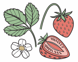 Hand drawn strawberry elements and flower