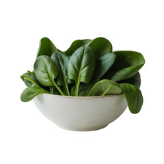 fresh spinach in a white bowl on a white background.png