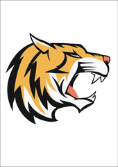 Raster to Vector Design 1, Tiger head, vector tracing 