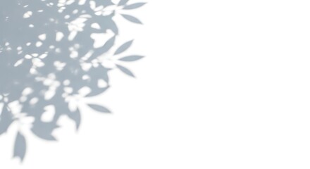 Obraz premium Soft dappled shadows of green leaves cast on a clean white background