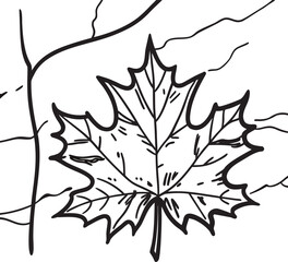 black silhouette of a leaf