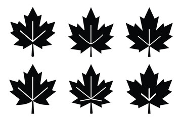 maple leaf icon set silhouette on white background