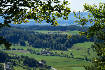 Close View of Swiss Countryside through Green Leaves