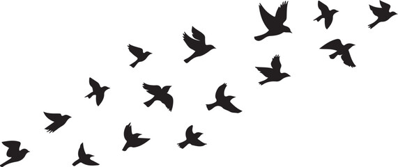 Fototapeta premium A flock of birds in formation flying across a clean white background