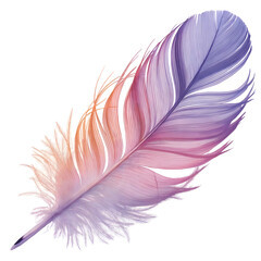 Fototapeta premium Vibrant bird feather showcasing a smooth gradient texture transitioning from warm peach to cool lavender isolated on a transparent background
