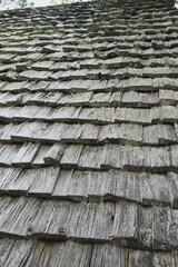 Timber roof slab. Arcachon, Bordeaux, France
