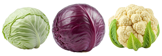White cabbage, red cabbage, cauliflower on a transparent background, set