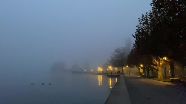 Lake Zug embankment. Fog, plane tree avenue, Zug, Switzerland