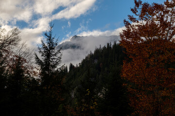 Vibrant Fall Forest with Misty Peaks and Alpine Scenery