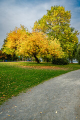  Lake Park Fall Colors 9