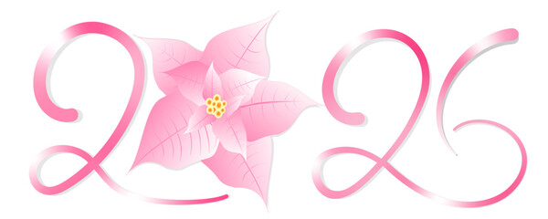 Weihnachten 2026 rosa Adventsstern