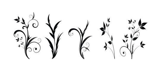 Set of detailed various flowers and foliage, intricate details and delicate forms. Hand drawn vector illustration with elegant botanical elements for invitation, save the date card vector illustration