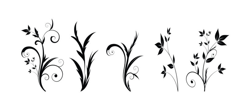 Set of detailed various flowers and foliage, intricate details and delicate forms. Hand drawn vector illustration with elegant botanical elements for invitation, save the date card vector illustration