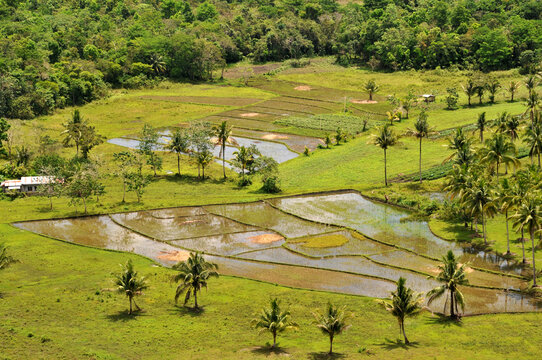 Landschaft bei Carmen auf Bohol