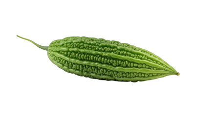 Vibrant Green Bitter Gourd Isolated on a Pure Black Background