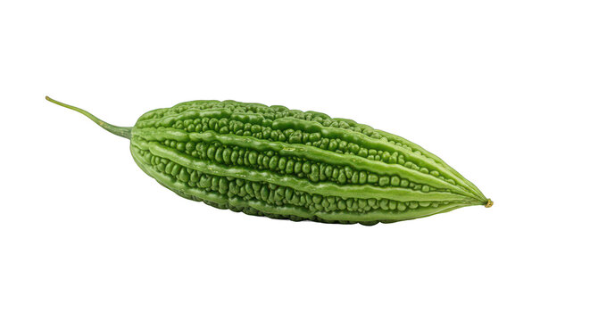 Vibrant Green Bitter Gourd Isolated on a Pure Black Background