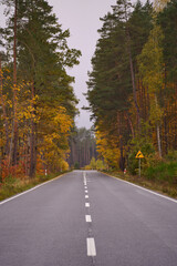 Droga przez jesienny las z zakrętem w prawo