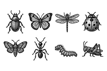 Obraz premium Vintage insect collection with butterfly, beetle, dragonfly, ant, caterpillar, and cricket