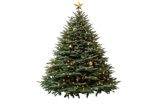 A beautifully decorated Christmas tree with golden ornaments and a shining star on a white isolated background.