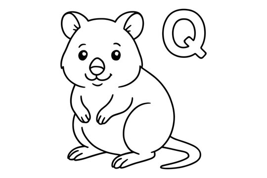 Cute quokka alphabet outline: educational zoo animal art