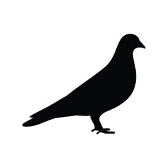 Fototapeta premium Black Dove or Pigeon Silhouette Vector Illustration Standing on White Background, Ideal for Logo, Icon, or Graphic Design Element