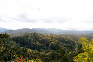 View of forested mountain landscape. Mountains covered with trees