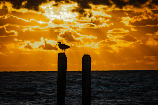 Sunrise at Buckroe Beach in Hampton, VAa