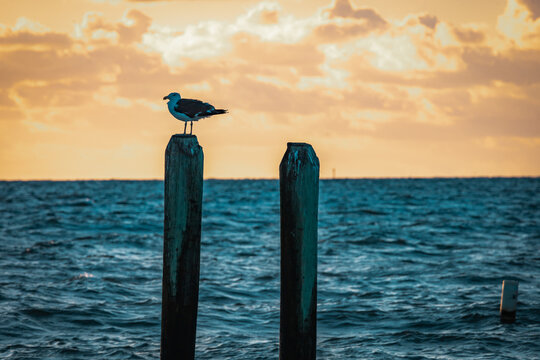 Sunrise at Buckroe Beach in Hampton, VAa