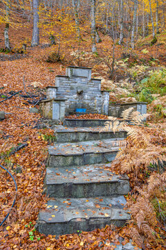 Traditional Stone-Built Fountain or Spring (Vrisi) with Stone Steps, Surrounded by a Carpet of Brown Autumn Leaves and Ferns in a Deciduous Forest near Samarina, Pindos, Greece