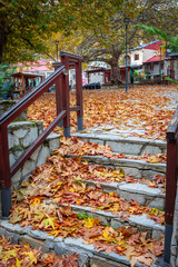 Traditional Stone Steps and Railing in Avdella Village Square, Pindos, Greece, Abundantly Covered in Large, Vibrant Orange and Yellow Autumn Leaves