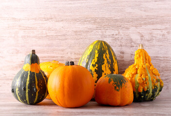 Mixed pumpkins, autumn, fall season